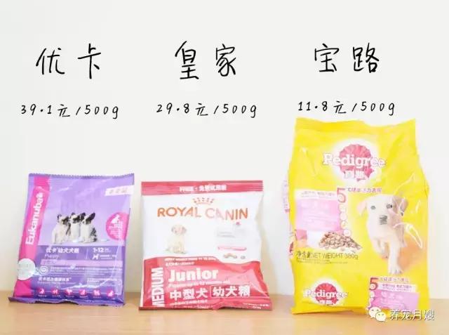 狗粮综合测评分析,狗粮怎么选多款狗粮测评来袭