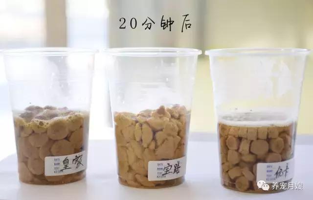 狗粮测评进口粮,狗粮评测报告