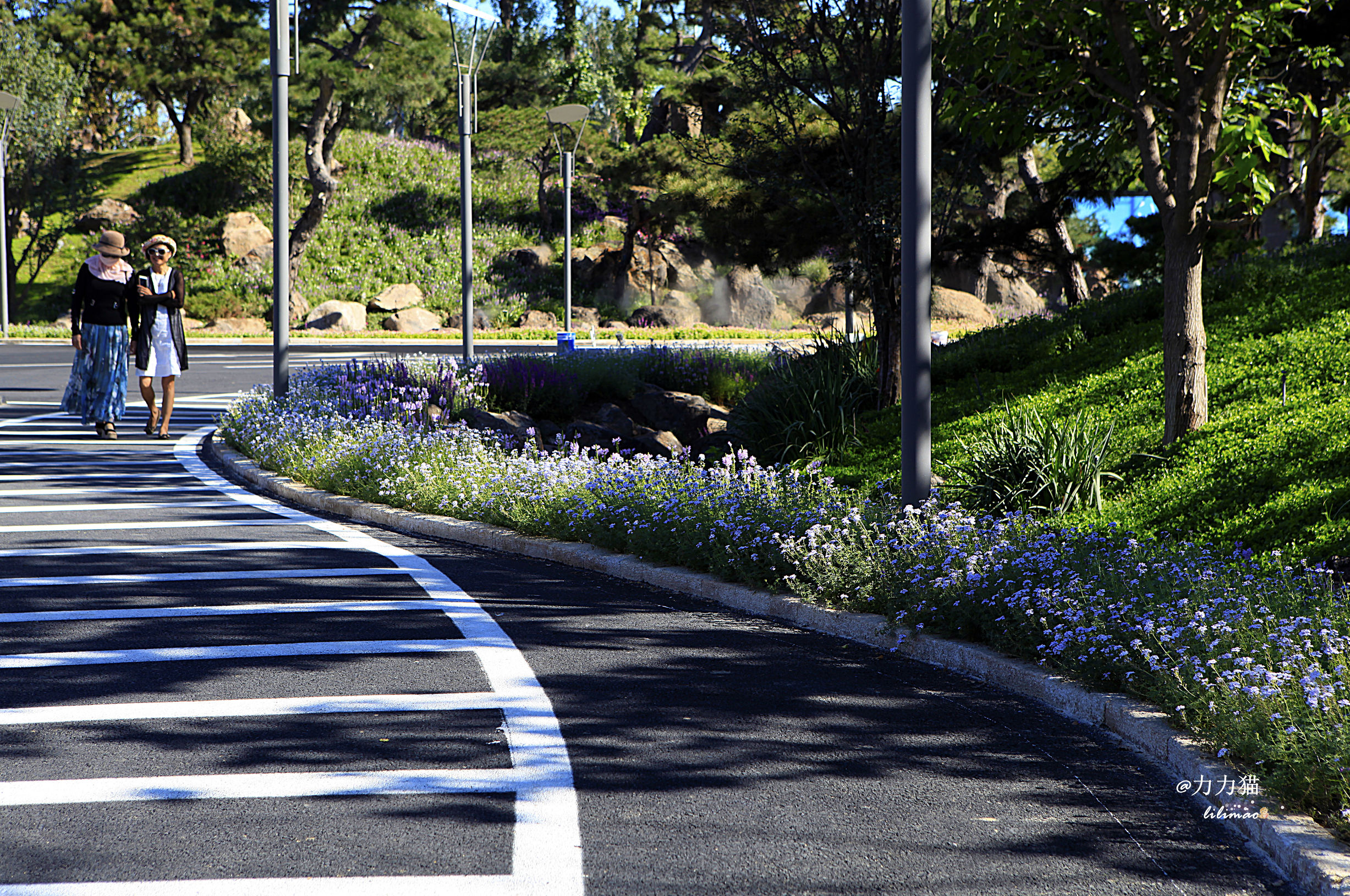罗红摄影艺术馆蛋糕价格,罗红艺术馆黑天鹅蛋糕