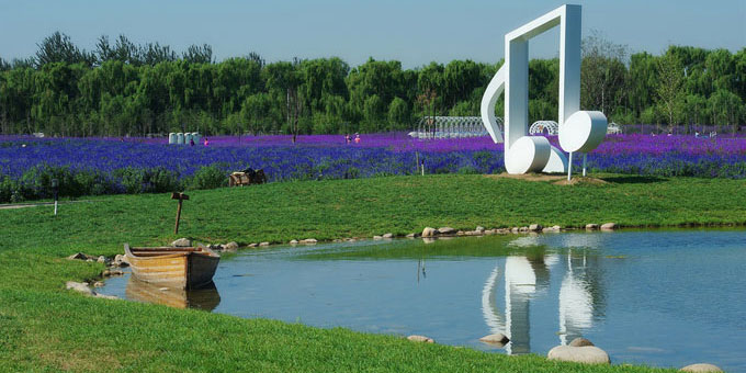 最美薰衣草庄园,中国最大的薰衣草庄园