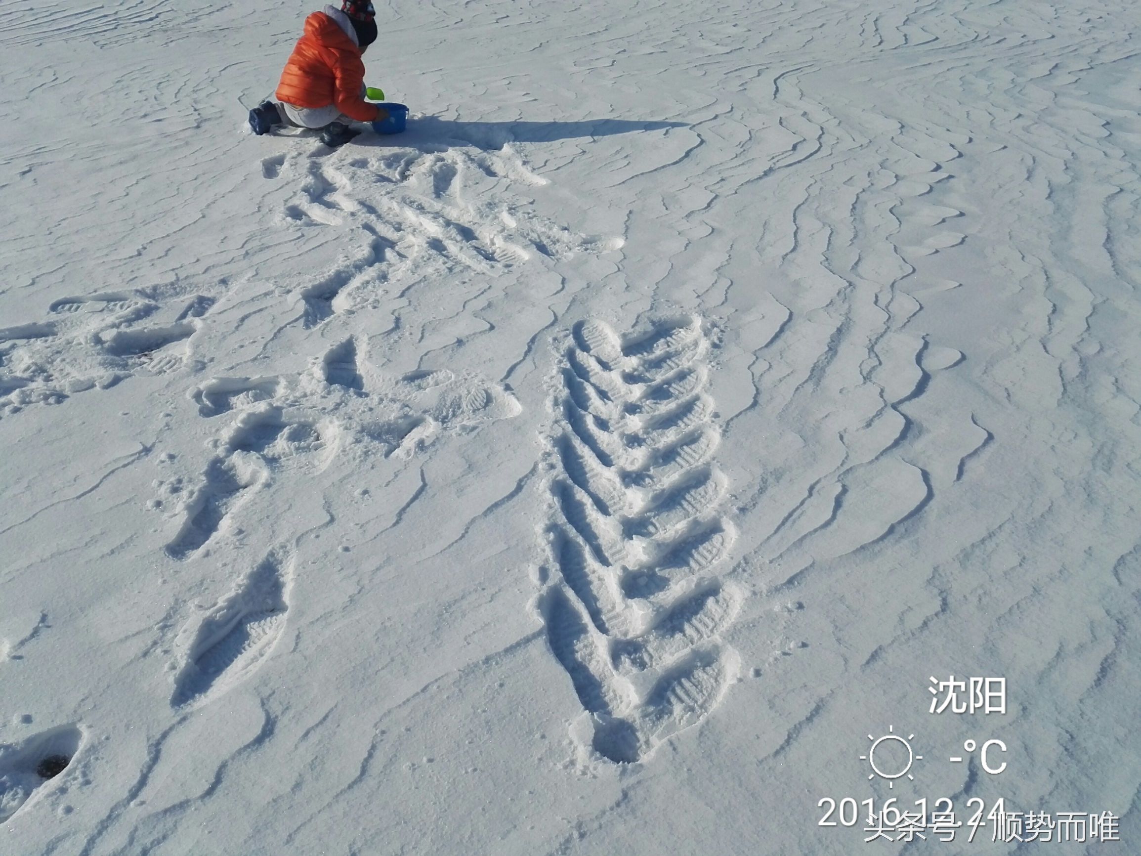 沈阳冬季冰雪乐园,沈阳冬季冰雪旅游