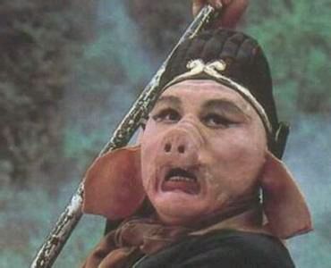 东南西北中五行方位,东南西北指生肖