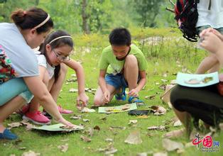 怎么让孩子提高奥数思维能力,孩子学奥数思维训练有什么帮助