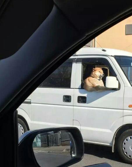 逗逼先僧：讽刺那些老发自拍瞎逼逼的女神，搞笑图片合集22