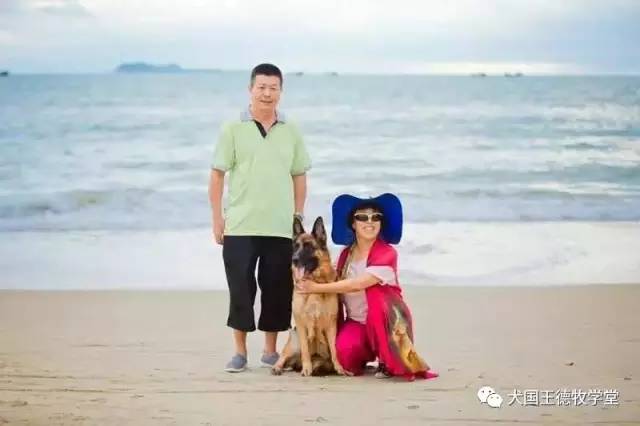 刘阿姨德牧,福多多德牧