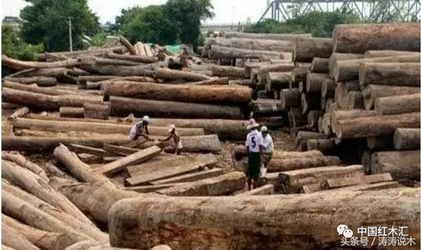 高端缅甸花梨红木家具实惠价格,惜木红木家具价格