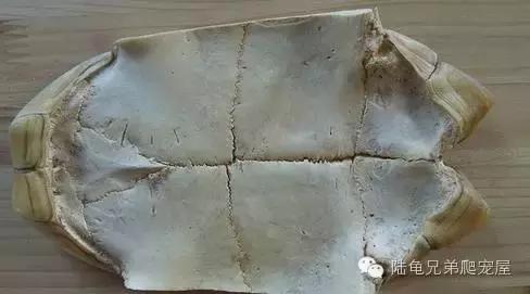 其实原因,其实所有的问题都源来于自身问题