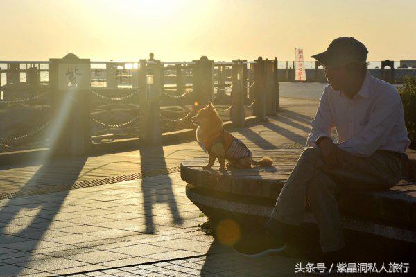 上海大江户温泉平面图,大江户温泉上海