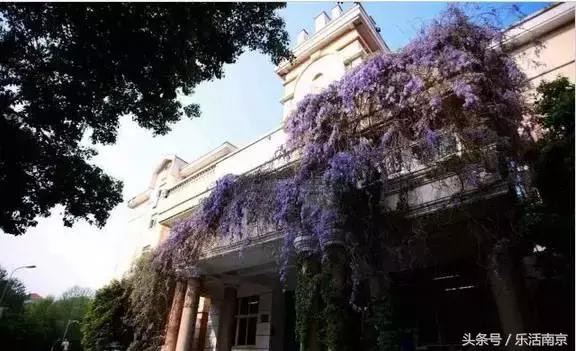 如果可以，请留在南工！浦珠南路30号，留下了我太多的青春！