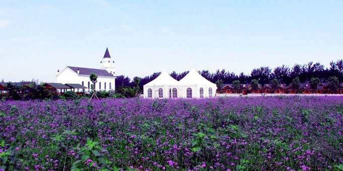最美薰衣草庄园,中国最大的薰衣草庄园