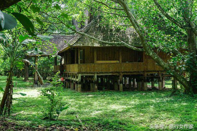 西双版纳避寒城市,冬日西双版纳市区