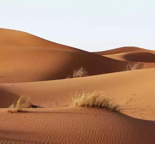 免签出境游推荐,春节海外免签旅游推荐