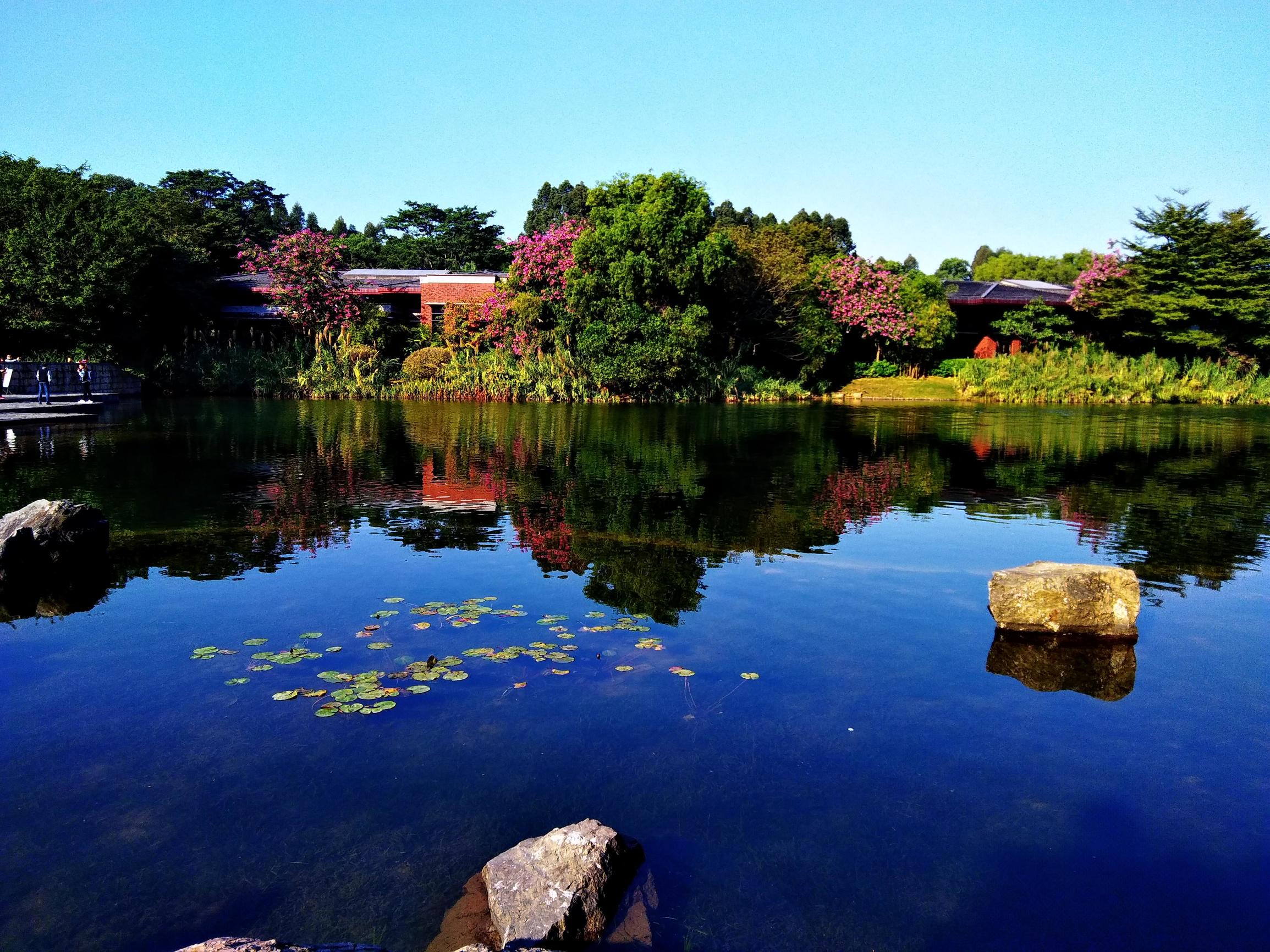 华为畅享6s的像素怎么样,华为畅享6拍照效果怎么样