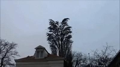 逗逼先僧：讽刺那些老发自拍瞎逼逼的女神，搞笑图片合集22