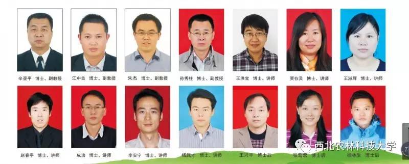 土豆烧牛肉最正宗做法视频,土豆烧牛肉为什么牛肉很硬