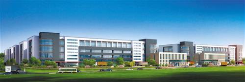 用眼镜看世界创意绘画,用眼睛看世界