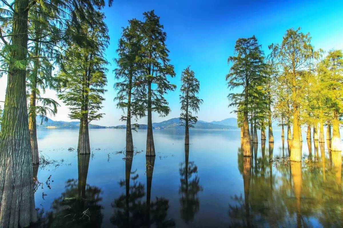 暖心美宿+养生温泉，寒冬和这家高逼格酒店简直绝配！「浙里温暖NO.2」