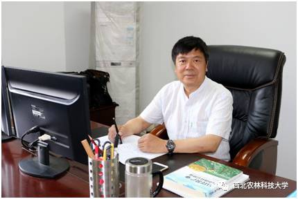 土豆烧牛肉最正宗做法视频,土豆烧牛肉为什么牛肉很硬