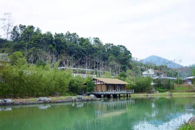 一个长得像李小龙的男人，在长泰一村子里，建了个千与千寻的奇幻世界