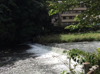 东京河口湖游玩攻略,东京河口湖箱根旅游