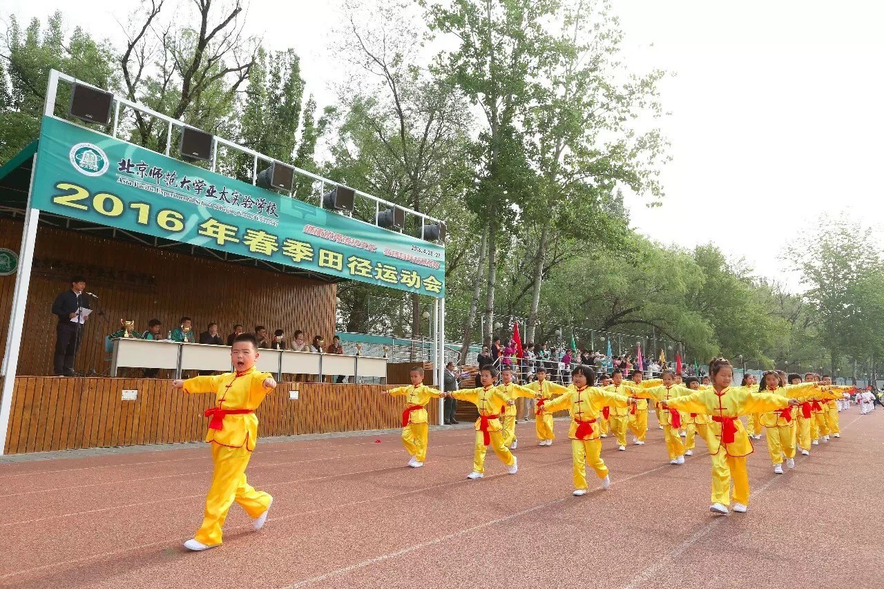 体育心得体会感悟短句,感悟体育的作文600字