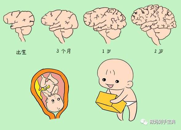 要不要给孩子补DHA？吃了DHA真的会越来越聪明？要怎么正确给孩子补DHA?