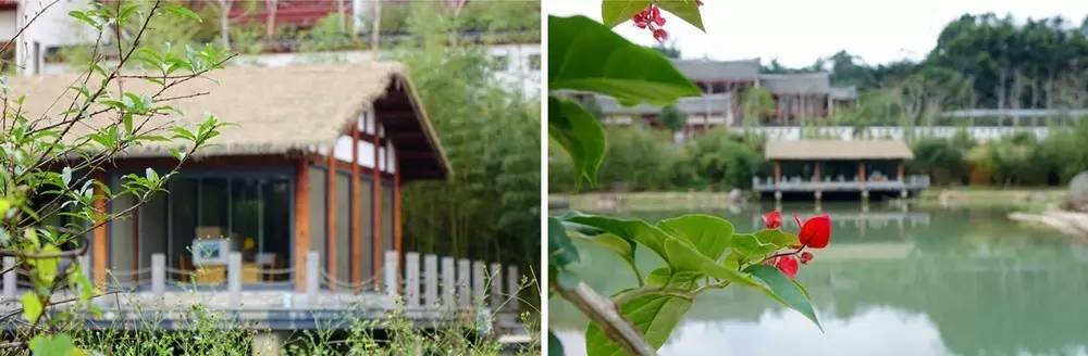 一个长得像李小龙的男人，在长泰一村子里，建了个千与千寻的奇幻世界