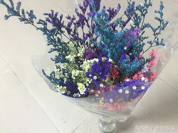 香水百合养了几天感觉又蔫了,香水百合容易养吗