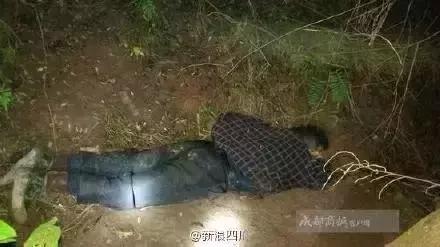 拔牙脑袋疼怎么回事,拔牙牙窝不疼其他地方疼