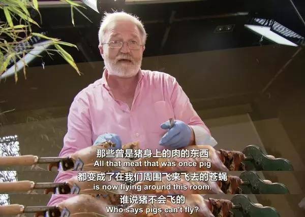 只有BBC才拍得出这么腐的片