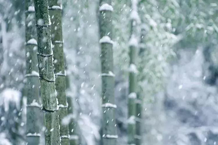 任尔东西南北风全诗隶书作品,任尔东西南北风上一句是啥