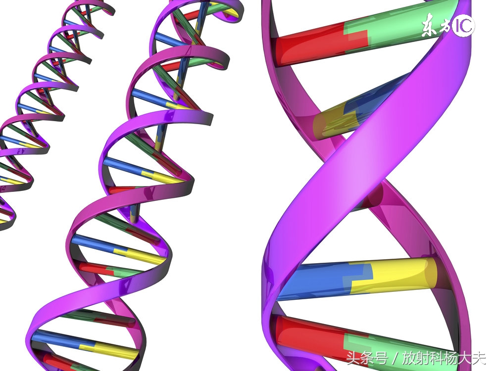 小孩肠镜发现好多小息肉,肠镜发现有息肉应几年做一次肠镜