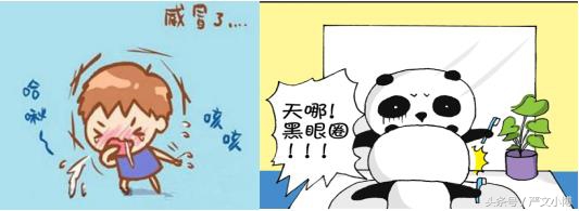 艾叶的功效与作用及食用方法总结,艾叶的功效及禁忌有哪些