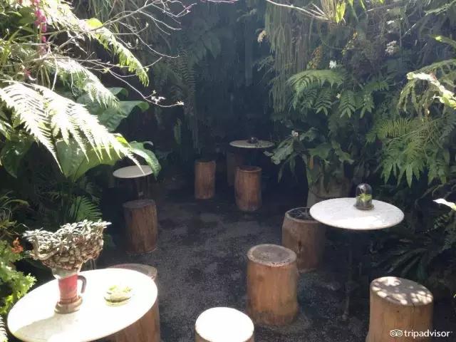 除了汉堡炸鸡还有什么好吃的,一款好吃又营养丰富的三明治面包