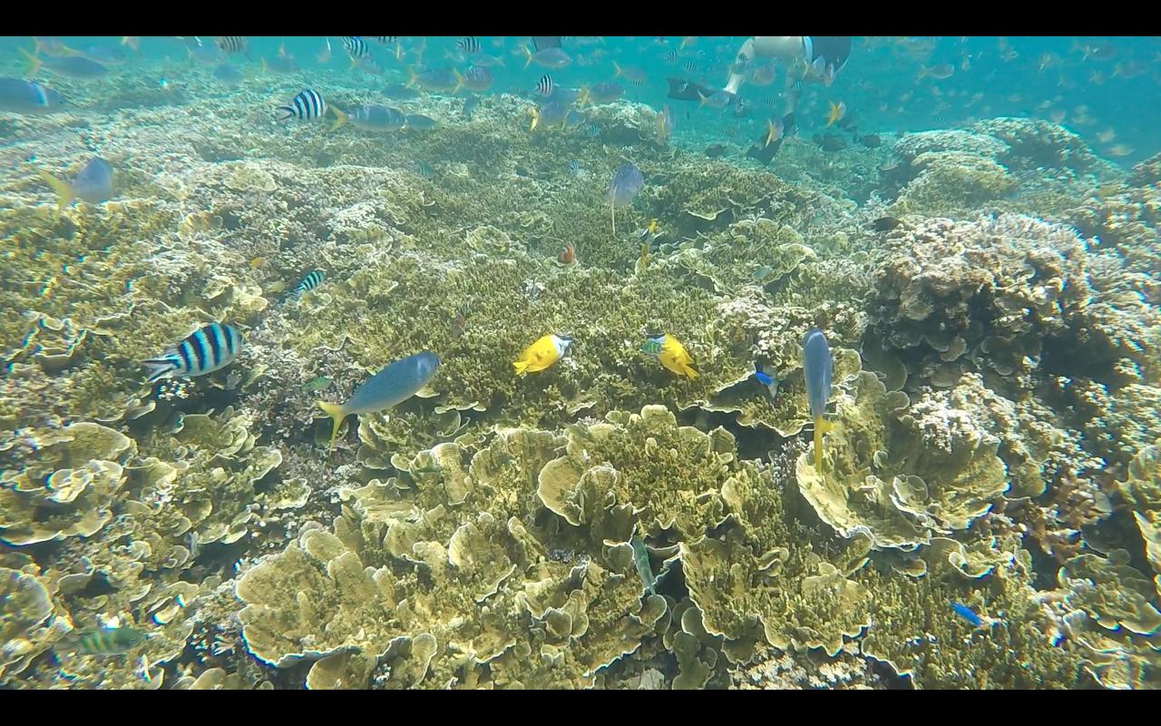 帕劳旅行攻略大全图文,帕劳旅行攻略图文大全