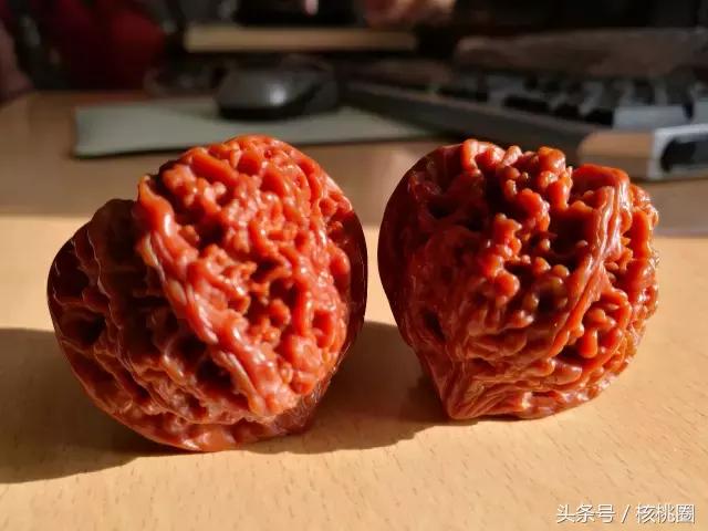 玩了6年的满天星狮子头