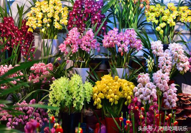 批发年货哪个网站批发划算,十大必备年货批发