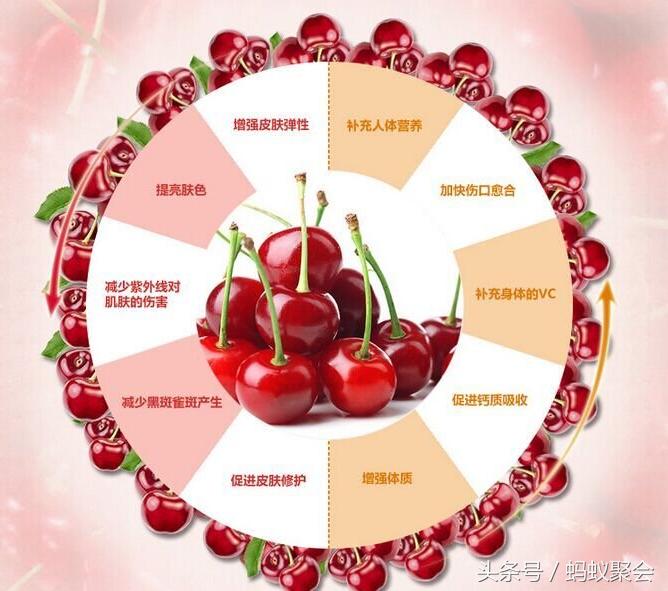 胎儿每月发育过程及营养情况,胎儿脑神经发育所需营养