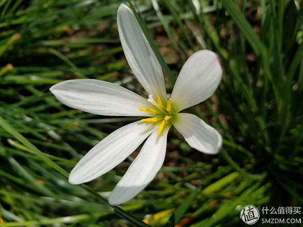 三星s7edge用户感受,三星s7edge还能用吗