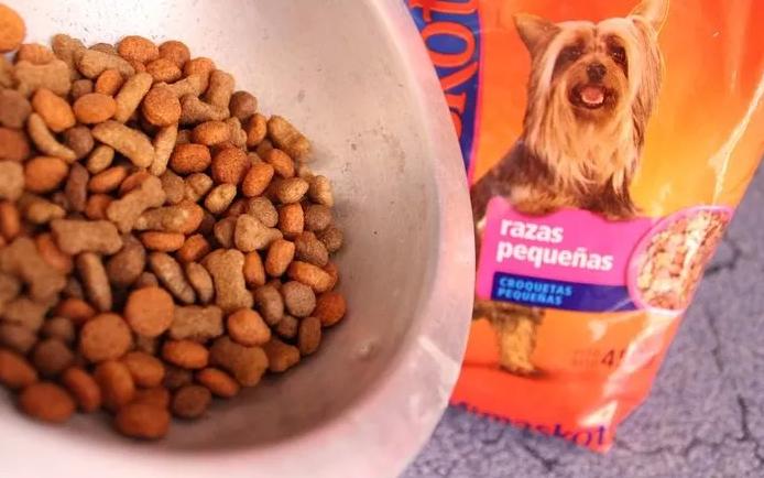 家里老鼠多灭老鼠最好的方法,老鼠怎样消灭