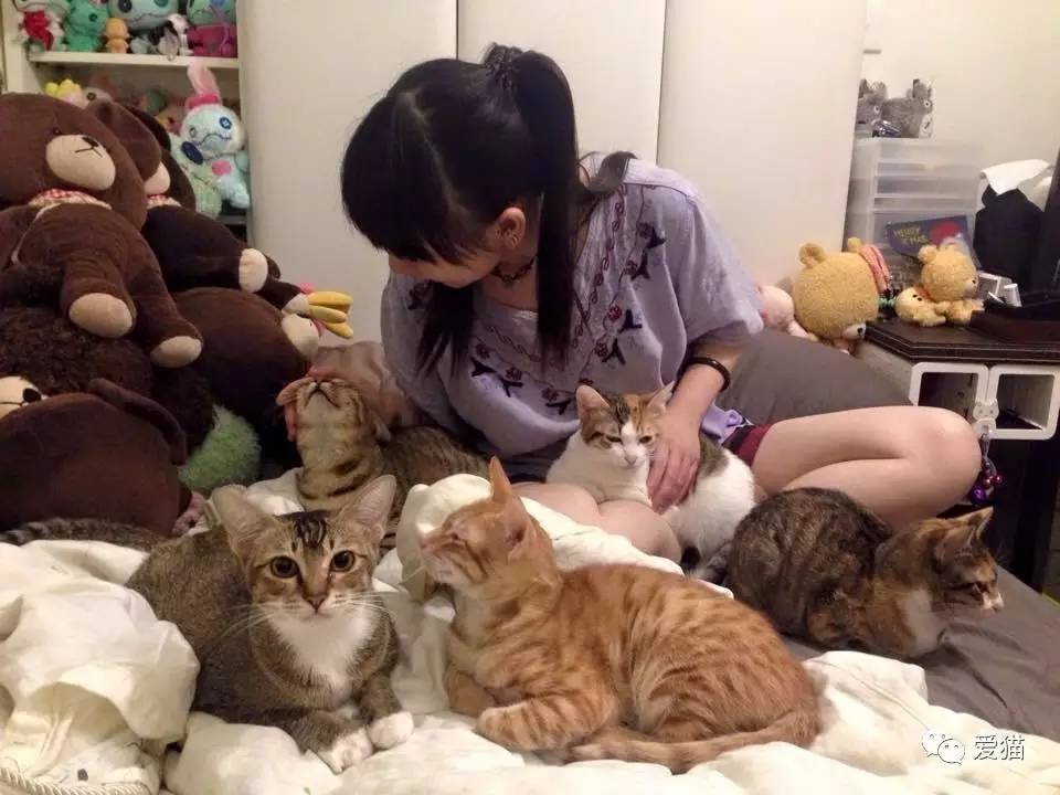 她纹身但她是个好女孩，照顾了20只没人愿意领养的残疾猫咪！