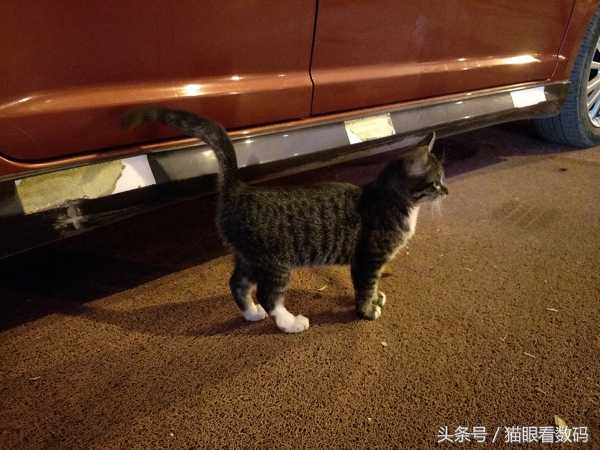 oppor9splus测评游戏,oppor9plus性能评测