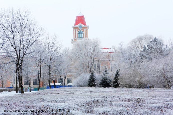 哈尔滨太阳岛的冬天照片,哈尔滨太阳岛的冬天有多美