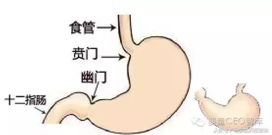 宝宝喝开封久的奶粉后呕吐怎么办,七个月宝宝喝奶粉后呕吐怎么回事