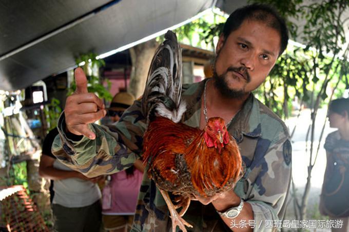 塞班岛冬季旅游攻略,塞班岛春节旅游视频