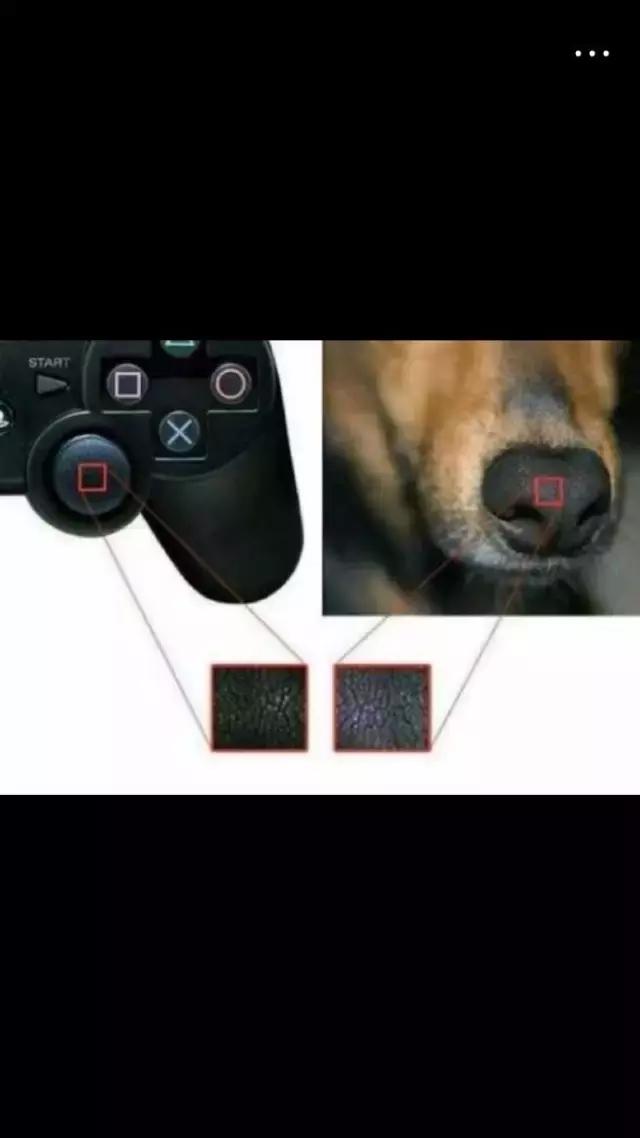 如果你发现你女朋友不爱你怎么办,如果你发现你女朋友不喜欢自己