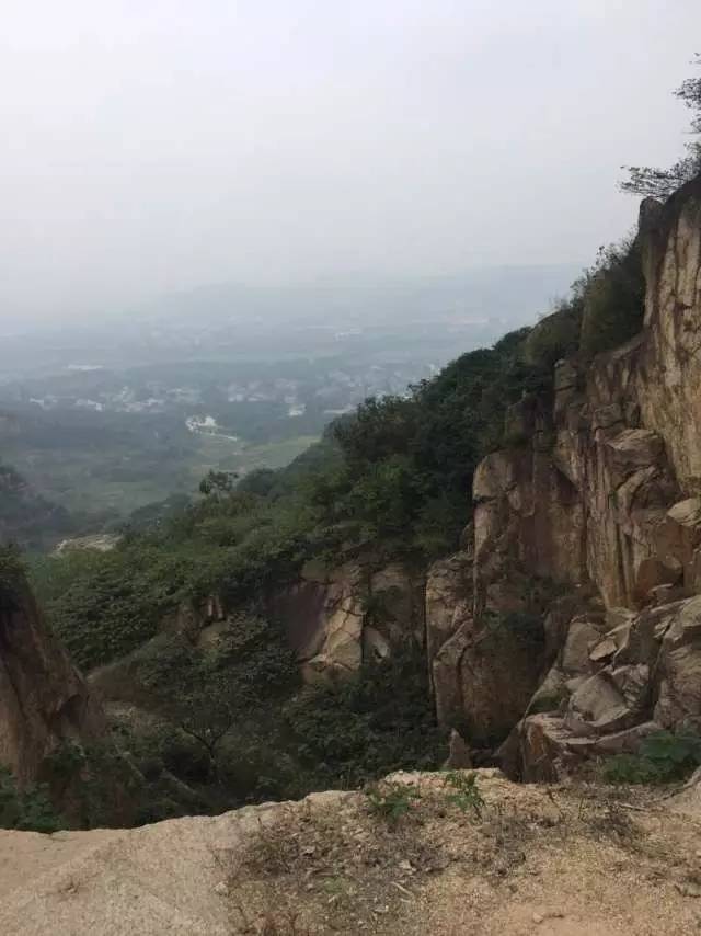 元旦一日线活动丨12.31宜兴听风观竹海，1.1挑战灵树线