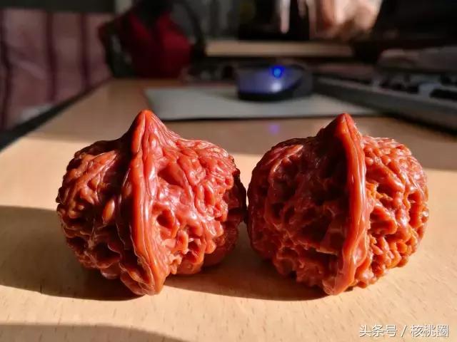 玩了6年的满天星狮子头