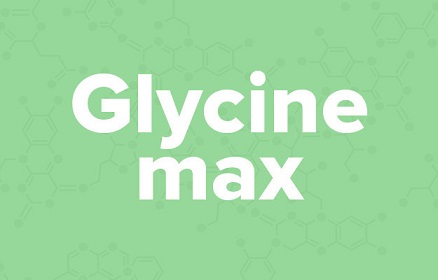 apple苹果的英语是什么,苹果的英语为什么是anapple