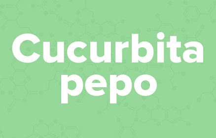 苹果的英文不是apple,苹果的英文发音是apple还是apple